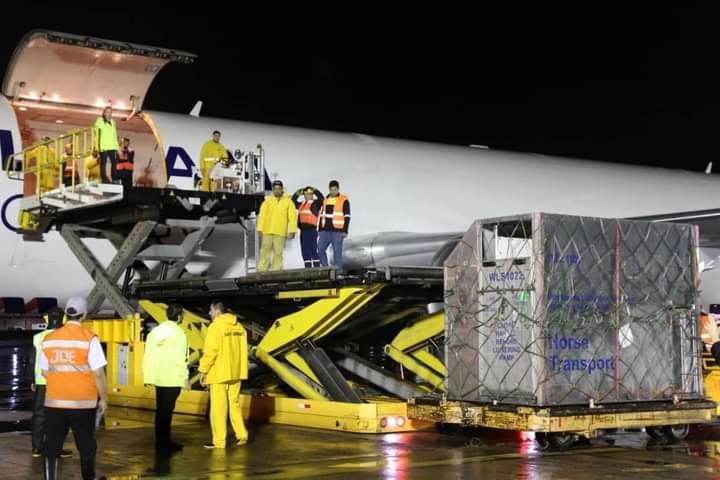 Descarga nocturna de carga aérea con plataforma elevadora